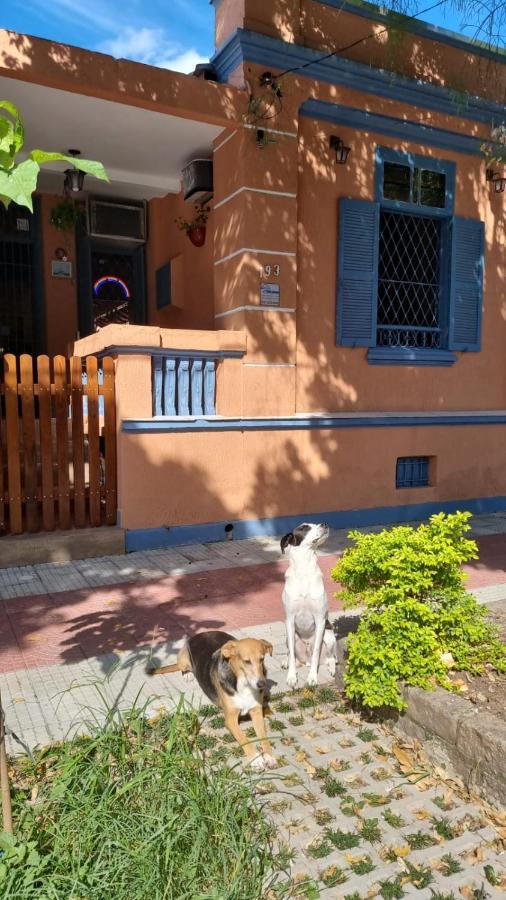 Hostel El Caminito Lgbtqiapn Plus ซันโตส ภายนอก รูปภาพ